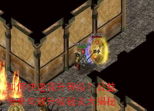 如何快速提升等级?公益传奇高效升级秘诀大揭秘 如何快速提升等级?公益传奇高效升级秘诀大揭秘