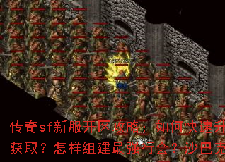 传奇sf新服开区攻略：如何快速升级？装备怎么获取？怎样组建最强行会？沙巴克攻城全技巧解析