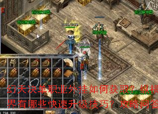 幻天决单职业外挂如何获取？纵横传奇世界有哪些快速升级技巧？攻略问答全解析