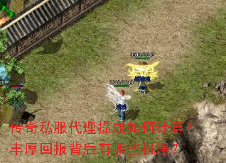 传奇私服代理提成如何计算？丰厚回报背后有哪些机遇？