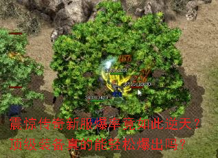 震惊传奇新服爆率竟如此逆天？顶级装备真的能轻松爆出吗？