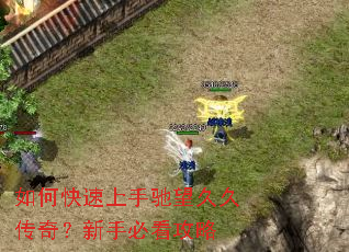 如何快速上手驰望久久传奇？新手必看攻略