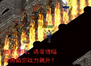 血骨铸魂,魂骨增幅如何助你战力飙升? 血骨铸魂,魂骨增幅如何助你战力飙升?