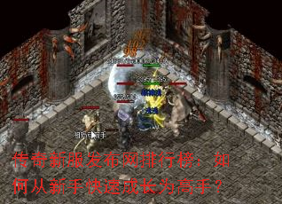 传奇新服发布网排行榜:如何从新手快速成长为高手? 传奇新服发布网排行榜:如何从新手快速成长为高手?