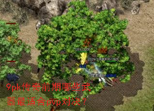 9pk传奇前期哪些武器最适合pvp对决？