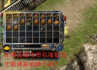 如何选择传奇私服职业才能体验巅峰乐趣? 如何选择传奇私服职业才能体验巅峰乐趣?