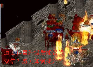 道士神兽升级后能召唤双倍？威力如何提升？