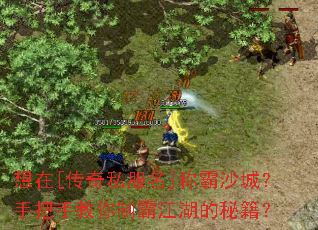 想在[传奇私服名]称霸沙城？手把手教你制霸江湖的秘籍？