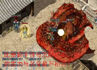 比奇新手怪与沉默嘟嘟，谁的实力与名号最不相符？