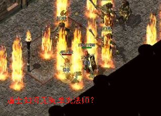 道士如何无狗单挑法师? 道士如何无狗单挑法师?