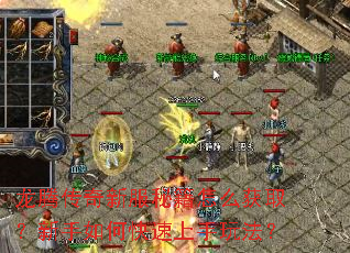 龙腾传奇新服秘籍怎么获取？新手如何快速上手玩法？
