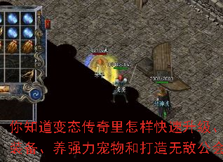 你知道变态传奇里怎样快速升级、刷极品装备、养强力宠物和打造无敌公会吗？