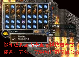 你知道变态传奇里怎样快速升级、刷极品装备、养强力宠物和打造无敌公会吗？