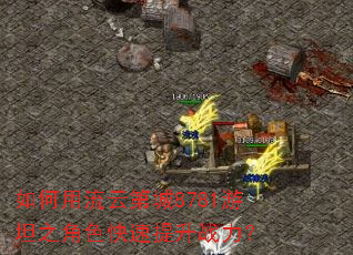 如何用流云第城8781游坦之角色快速提升战力？