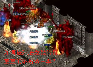 如何提升屠龙戮传奇中宝宝的麻痹命中率？