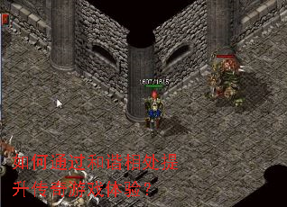 如何通过和谐相处提升传奇游戏体验？