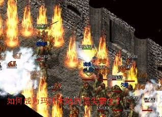 如何成为玛法大陆的顶尖霸主？