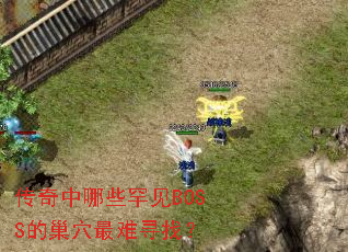 传奇中哪些罕见BOSS的巢穴最难寻找？