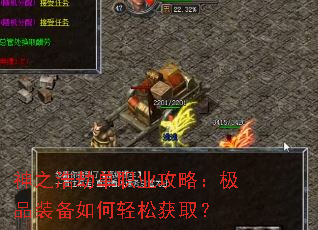 神之浩劫单职业攻略：极品装备如何轻松获取？