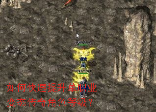 如何快速提升单职业变态传奇角色等级？