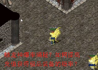 触龙神爆率揭秘?如何提高充值获得极品装备的概率? 触龙神爆率揭秘?如何提高充值获得极品装备的概率?