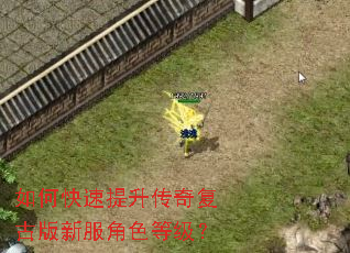 如何快速提升传奇复古版新服角色等级？