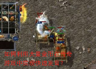 如何利用大量金币在传奇游戏中实现快速发育？