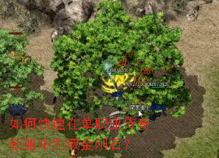 如何快速在单职业传奇新服中刷取金刚石？