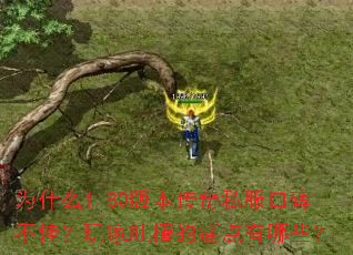 为什么1.80版本传奇私服口碑不佳?玩家吐槽的痛点有哪些? 为什么1.80版本传奇私服口碑不佳?玩家吐槽的痛点有哪些?