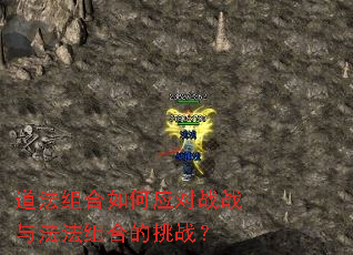 道法组合如何应对战战与法法组合的挑战? 道法组合如何应对战战与法法组合的挑战?