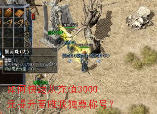 如何快速从充值3000元提升至唯我独尊称号？