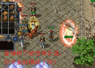 香樟树下的传奇之谜,你准备好挑战了吗? 香樟树下的传奇之谜,你准备好挑战了吗?