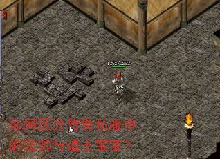 如何区分传奇私服中的法师与道士宝宝？