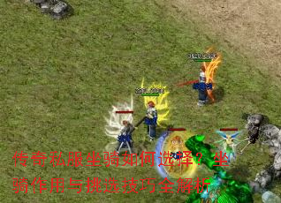 传奇私服坐骑如何选择？坐骑作用与挑选技巧全解析