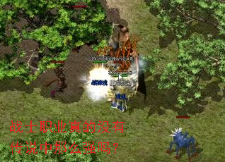 战士职业真的没有传说中那么强吗？