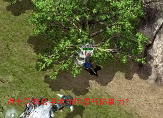 道士灵魂战甲术如何提升防御力？