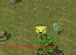 热血传奇行会领地玩法全攻略? 热血传奇行会领地玩法全攻略?