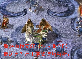 新热血传奇SF职业选哪个PK最厉害？高手实战技巧解析？