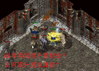 战斗看网速不看职业？如何提升游戏体验？