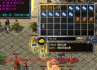 初来乍到？如何与众同游神奇世界