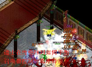 道士在传奇PK时如何平衡召唤兽控制与毒术释放？