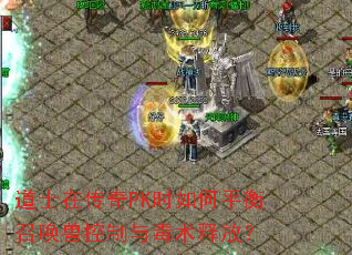 道士在传奇PK时如何平衡召唤兽控制与毒术释放？