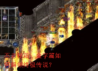 不老秘籍：金字篇如何解锁终极传说？