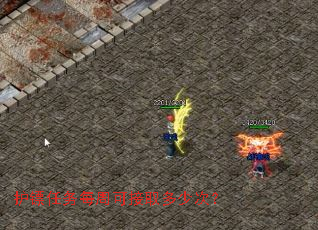 护镖任务每周可接取多少次? 护镖任务每周可接取多少次?