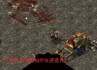 传奇称号等级如何快速提升？