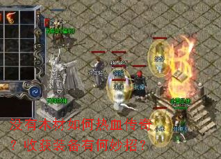 没有木材如何热血传奇?收获装备有何妙招? 没有木材如何热血传奇?收获装备有何妙招?