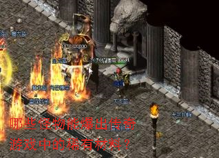 哪些怪物能爆出传奇游戏中的稀有材料？