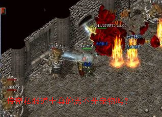 传奇私服道士真的离不开宠物吗? 传奇私服道士真的离不开宠物吗?