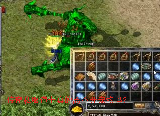 传奇私服道士真的离不开宠物吗? 传奇私服道士真的离不开宠物吗?