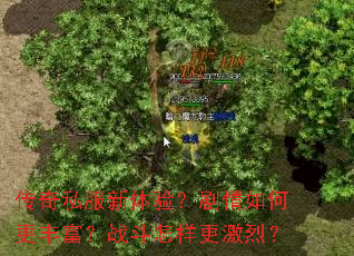 传奇私服新体验？剧情如何更丰富？战斗怎样更激烈？